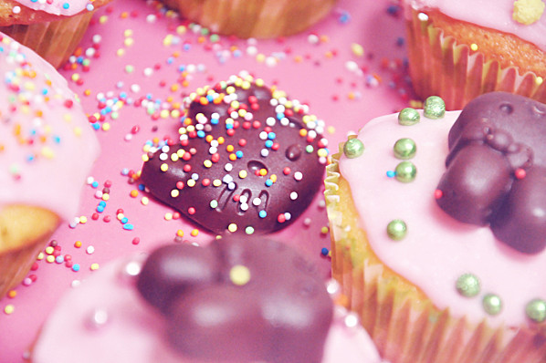 princesse noeud noeud et le cupcake magique (13)